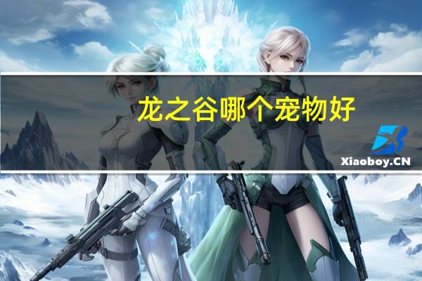 龙之谷哪个宠物好
