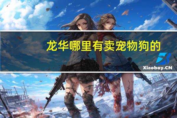龙华哪里有卖宠物狗的
