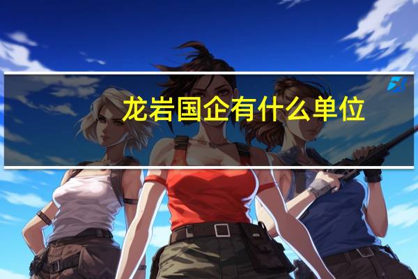 龙岩国企有什么单位
