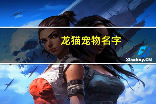 龙猫宠物名字