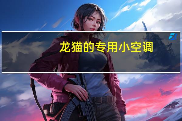 龙猫的专用小空调
