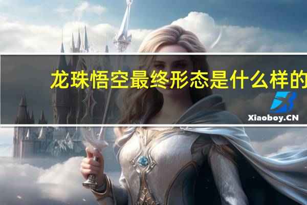 龙珠悟空最终形态是什么样的