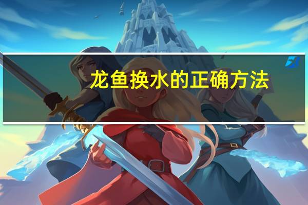 龙鱼换水的正确方法