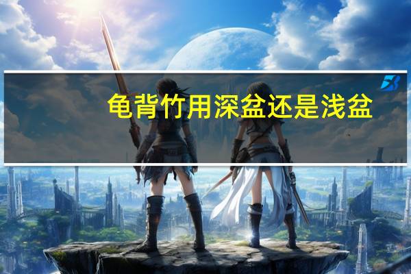 龟背竹用深盆还是浅盆