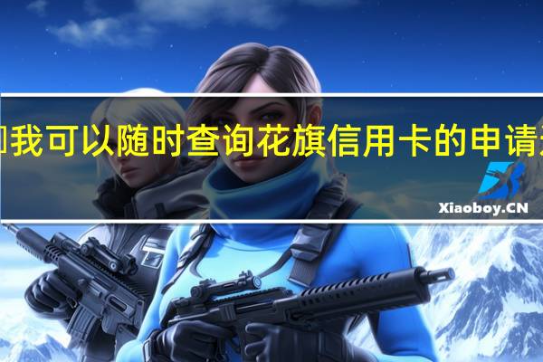 ​我可以随时查询花旗信用卡的申请进度吗