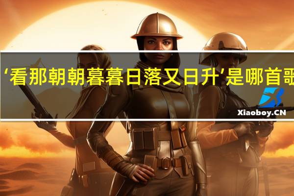 ‘看那朝朝暮暮日落又日升’是哪首歌歌词