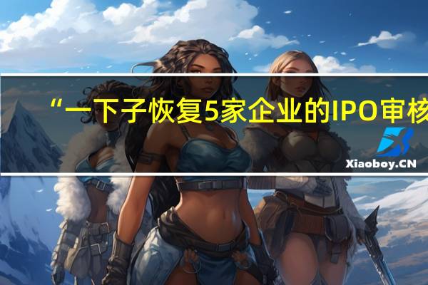 “一下子恢复5家企业的IPO审核” ？ 行业人士：因补财报而中止的审核恢复 不存在加大融资力度的信号释放