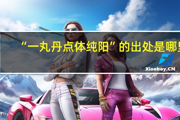 “一丸丹点体纯阳”的出处是哪里