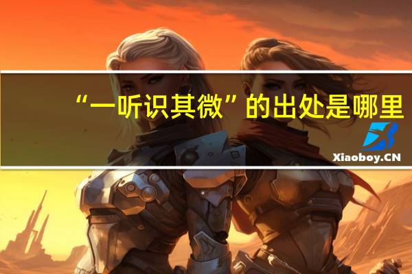 “一听识其微”的出处是哪里
