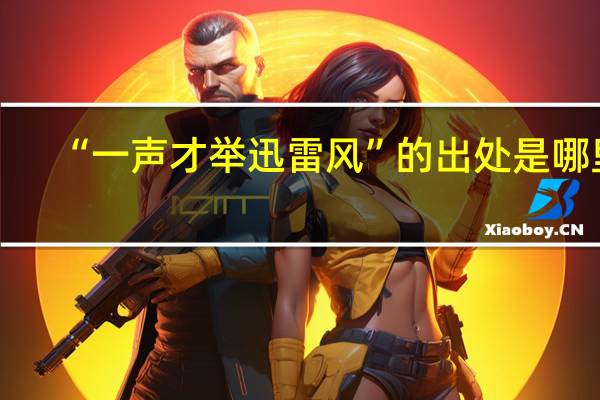 “一声才举迅雷风”的出处是哪里