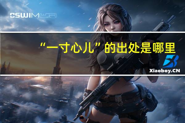 “一寸心儿”的出处是哪里