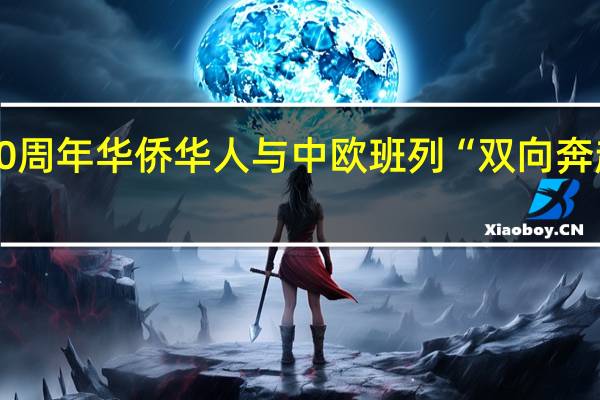“一带一路”10周年华侨华人与中欧班列“双向奔赴” 到底什么情况嘞