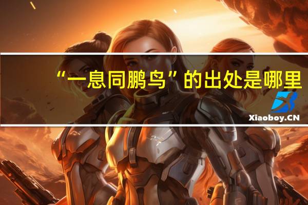 “一息同鹏鸟”的出处是哪里