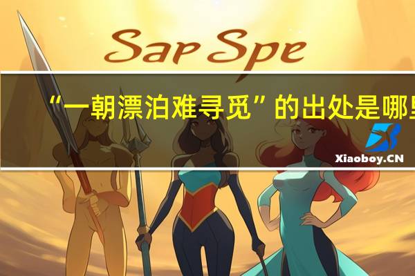“一朝漂泊难寻觅”的出处是哪里