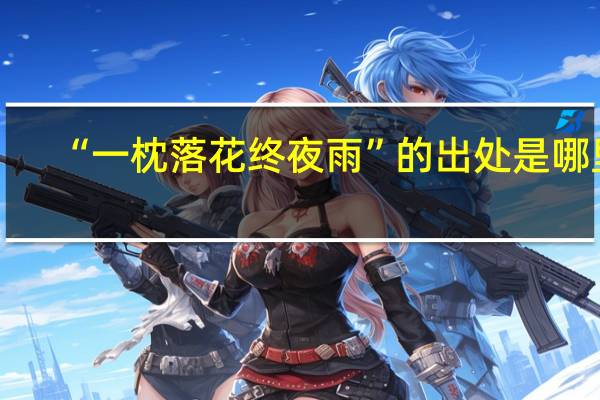 “一枕落花终夜雨”的出处是哪里