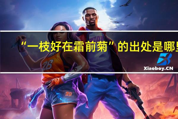 “一枝好在霜前菊”的出处是哪里