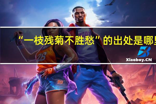 “一枝残菊不胜愁”的出处是哪里