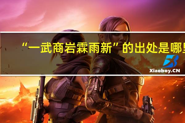 “一武商岩霖雨新”的出处是哪里