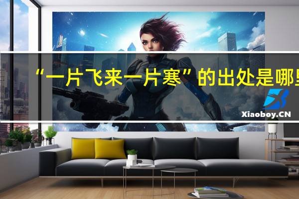 “一片飞来一片寒”的出处是哪里