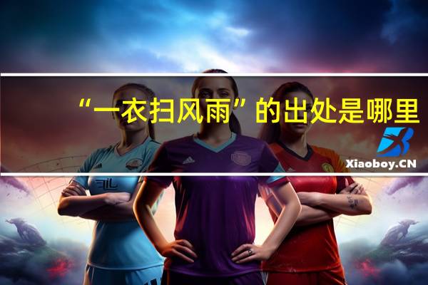 “一衣扫风雨”的出处是哪里