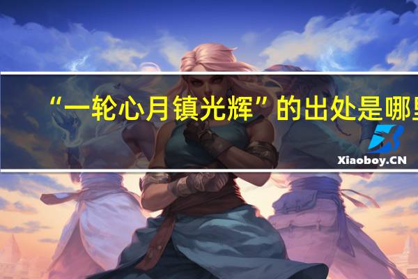 “一轮心月镇光辉”的出处是哪里