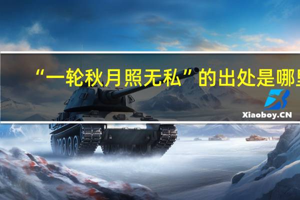 “一轮秋月照无私”的出处是哪里