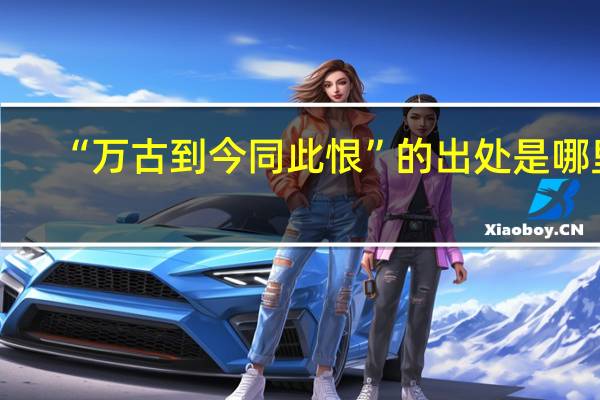 “万古到今同此恨”的出处是哪里