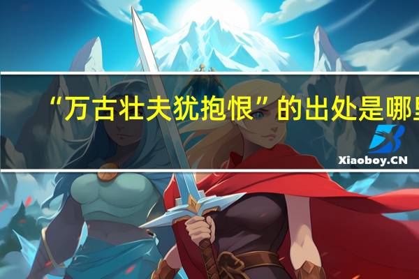 “万古壮夫犹抱恨”的出处是哪里