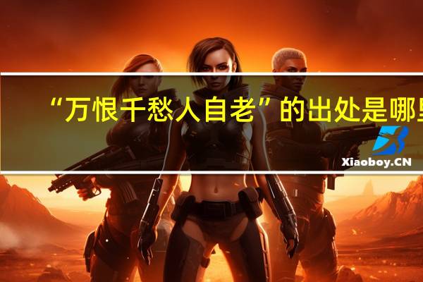 “万恨千愁人自老”的出处是哪里