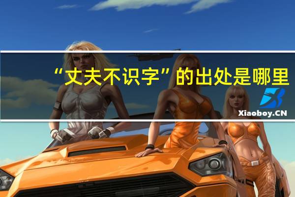 “丈夫不识字”的出处是哪里