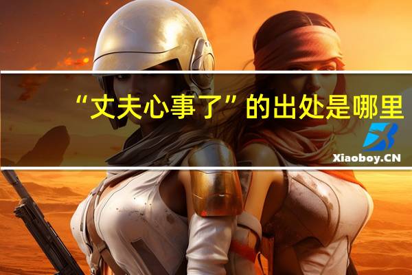 “丈夫心事了”的出处是哪里
