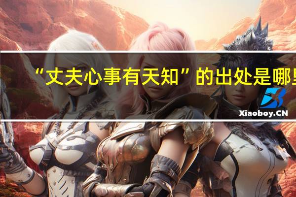 “丈夫心事有天知”的出处是哪里