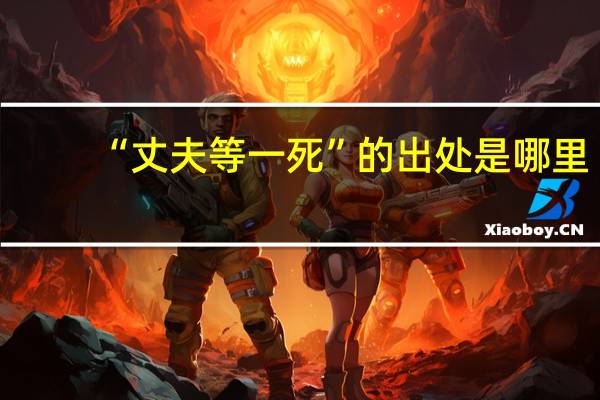 “丈夫等一死”的出处是哪里