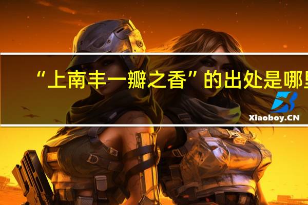 “上南丰一瓣之香”的出处是哪里