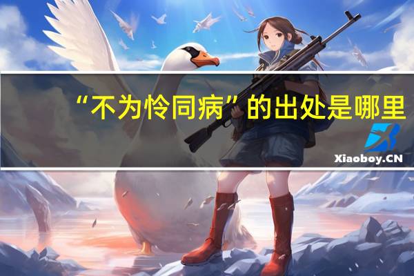 “不为怜同病”的出处是哪里
