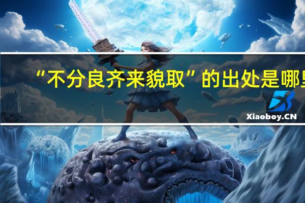 “不分良齐来貌取”的出处是哪里