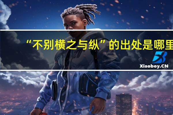 “不别横之与纵”的出处是哪里