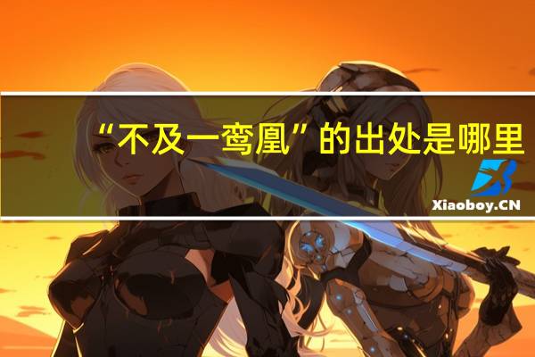 “不及一鸾凰”的出处是哪里