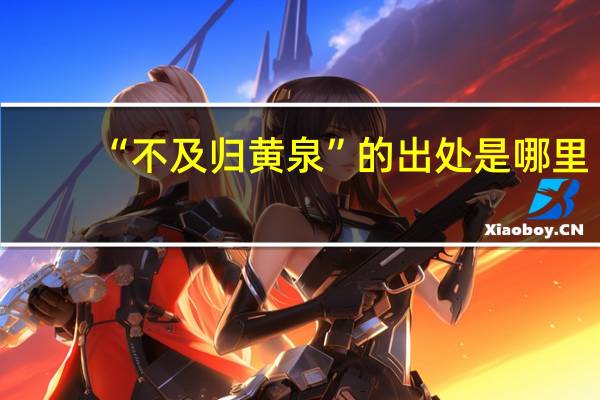 “不及归黄泉”的出处是哪里