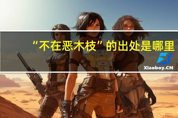 “不在恶木枝”的出处是哪里
