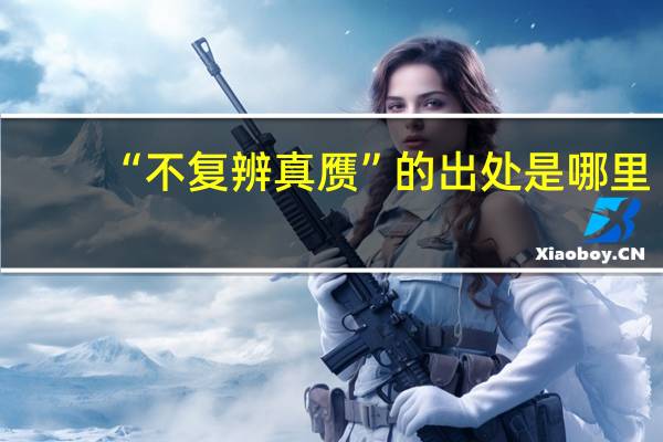 “不复辨真赝”的出处是哪里