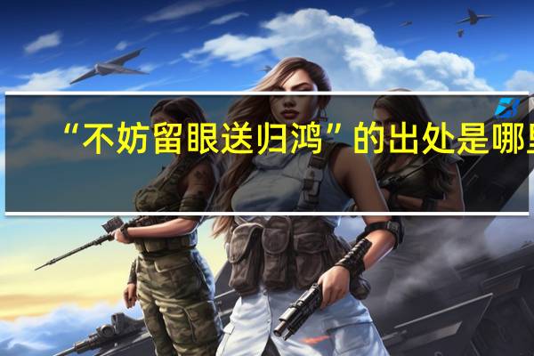 “不妨留眼送归鸿”的出处是哪里
