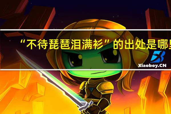 “不待琵琶泪满衫”的出处是哪里
