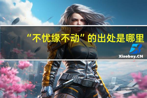 “不忧缘不动”的出处是哪里
