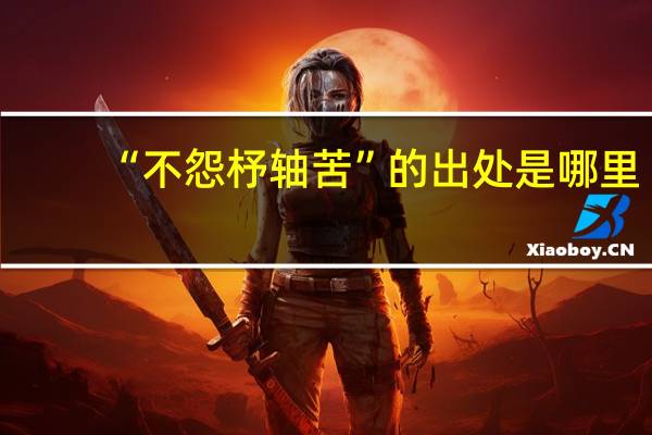 “不怨杼轴苦”的出处是哪里