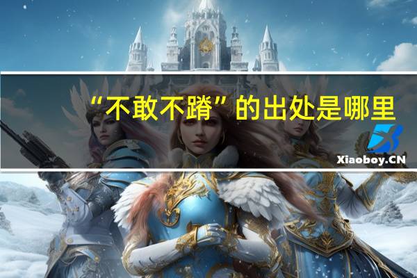 “不敢不蹐”的出处是哪里