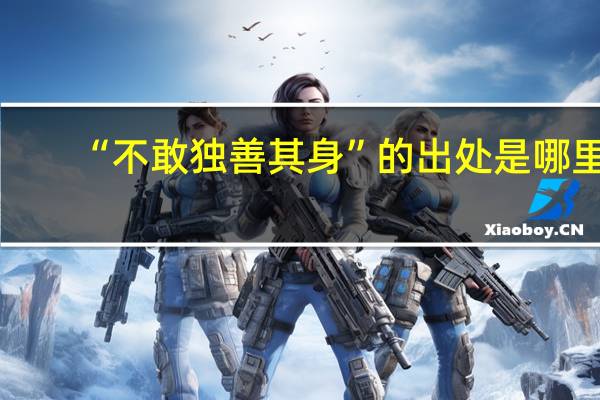 “不敢独善其身”的出处是哪里