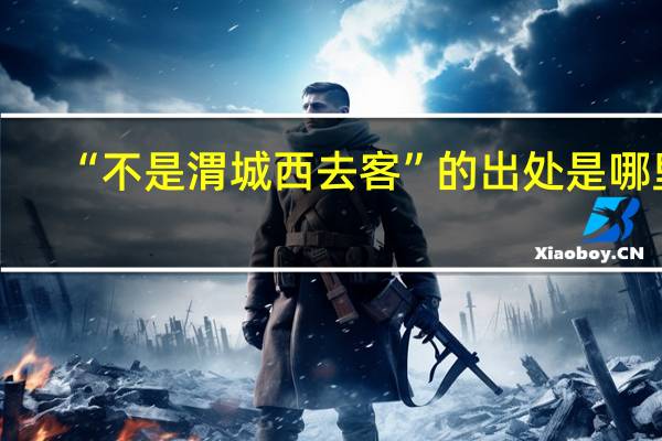 “不是渭城西去客”的出处是哪里