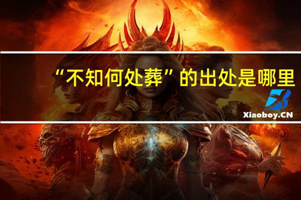 “不知何处葬”的出处是哪里