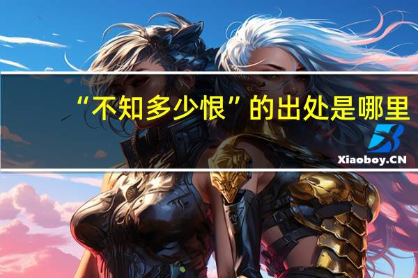 “不知多少恨”的出处是哪里